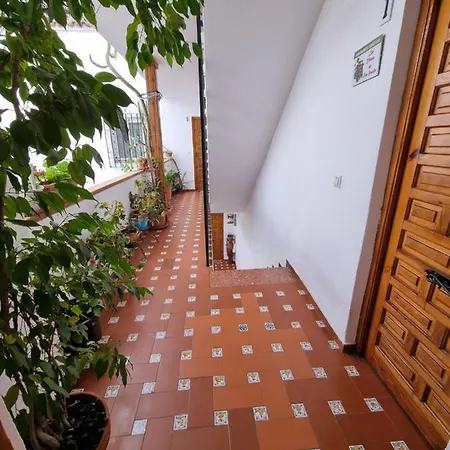 Lejlighed Apartamento Entre Patios San Basilio