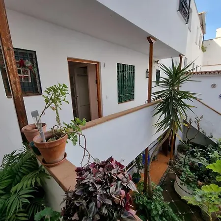 Lejlighed Apartamento Entre Patios San Basilio *